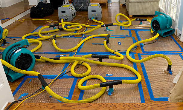 Professional Basement Flood Cleanup technician working in Lake City, GA